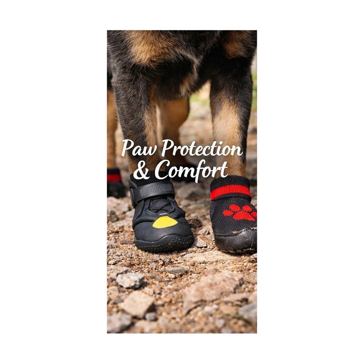 Paw Protection & Comfort